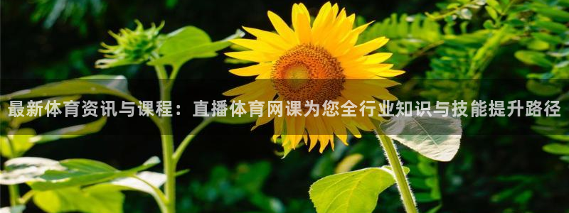 so米足球直播：最新体育资讯与课程：直播体育网课为您全行业知识与技能提升路径