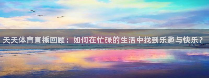 so米nba篮球直播：天天体育直播回顾：如何在忙碌的生活中找到乐趣与快乐？