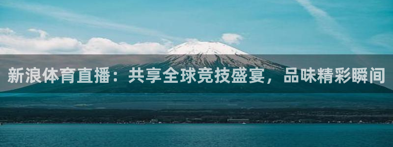 so米直播体育平台直播：新浪体育直播：共享全球竞技盛宴，品味精彩瞬间