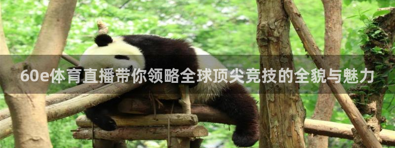 so米体育篮球直播在线：60e体育直播带你领略全球顶尖竞技的全貌与魅力