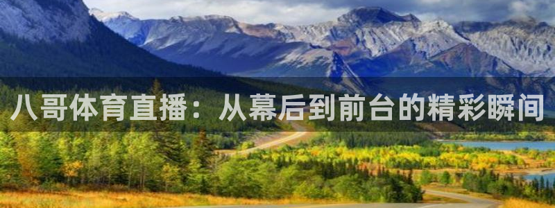 so米体育免费观看：八哥体育直播：从幕后到前台的精彩瞬间