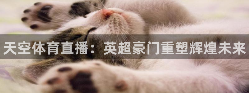 搜米so米体育直播nba赛事：天空体育直播：英超豪门重塑辉煌未来